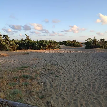 Apartment Domusauroom, Relax Nel Cuore Della Versilia - Pet Friendly