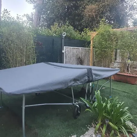 Domusauroom, Relax Nel Cuore Della Versilia - Pet Friendly * Viareggio