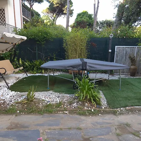 Apartment Domusauroom, Relax Nel Cuore Della Versilia - Pet Friendly