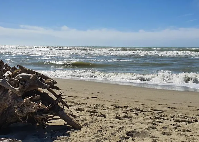 Appartamento Domusauroom, Relax Nel Cuore Della Versilia - Pet Friendly Viareggio