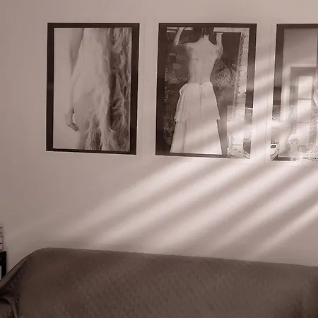 Domusauroom, Relax Nel Cuore Della Versilia - Pet Friendly ヴィアレッジョ