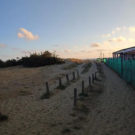 Domusauroom, Relax Nel Cuore Della Versilia - Pet Friendly * ヴィアレッジョ