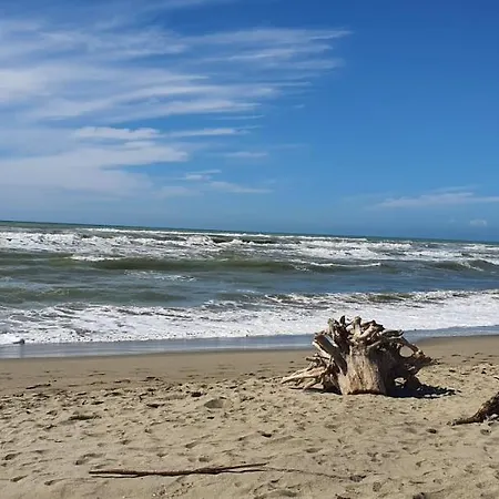 Domusauroom, Relax Nel Cuore Della Versilia - Pet Friendly アパート *