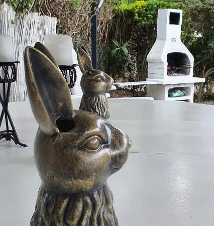 Domusauroom, Casa Con Grande Giardino Privato Pet Friendly