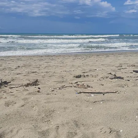 アパート Domusauroom, Relax Nel Cuore Della Versilia - Pet Friendly ヴィアレッジョ