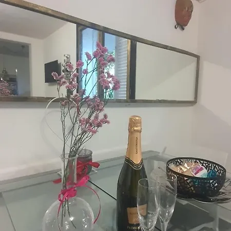 Domusauroom, Relax Nel Cuore Della Versilia - Pet Friendly *