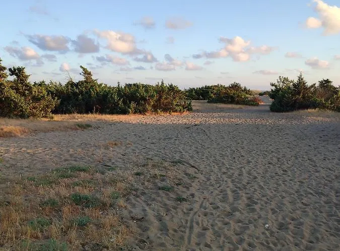 Апартаменти Domusauroom, Casa Con Grande Giardino Privato Pet Friendly