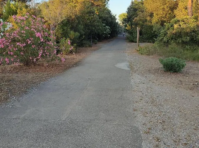 Domusauroom, Casa Con Grande Giardino Privato Pet Friendly Διαμέρισμα *