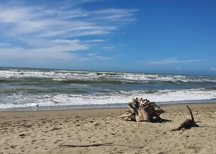 Domusauroom, Casa Con Grande Giardino Privato Pet Friendly Appartement *