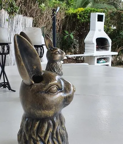 Domusauroom, Casa Con Grande Giardino Privato Pet Friendly